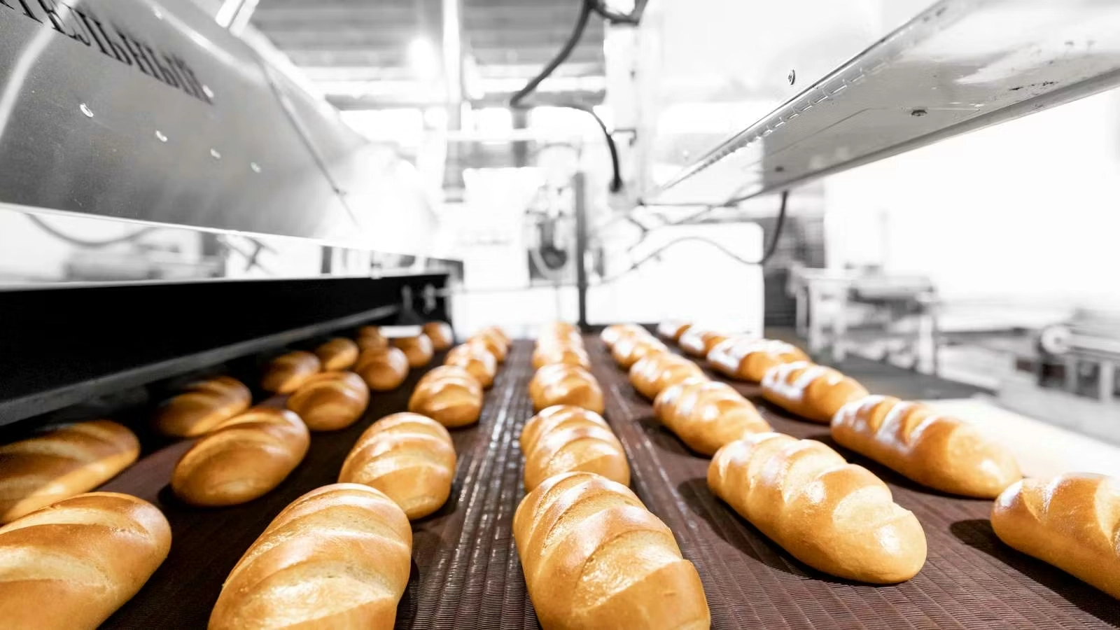 Industriële bakkerijen