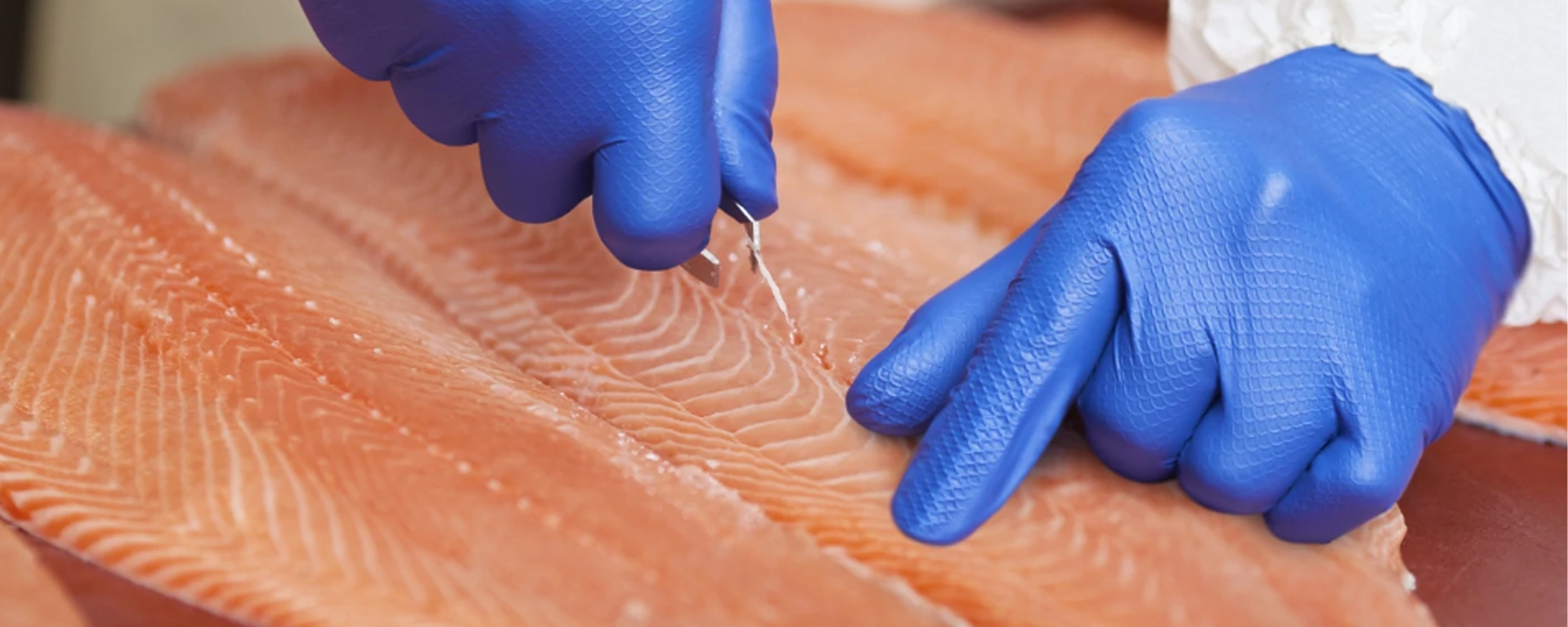 Grippaz handschoenen - innovatieve handbescherming voor de voedingsindustrie