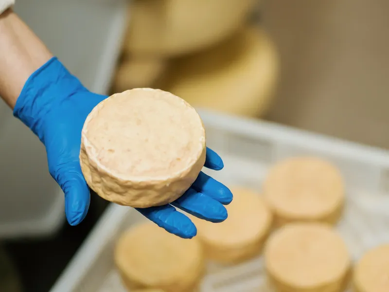 Klantcase: Verminder snijgevaar in de kaasindustrie