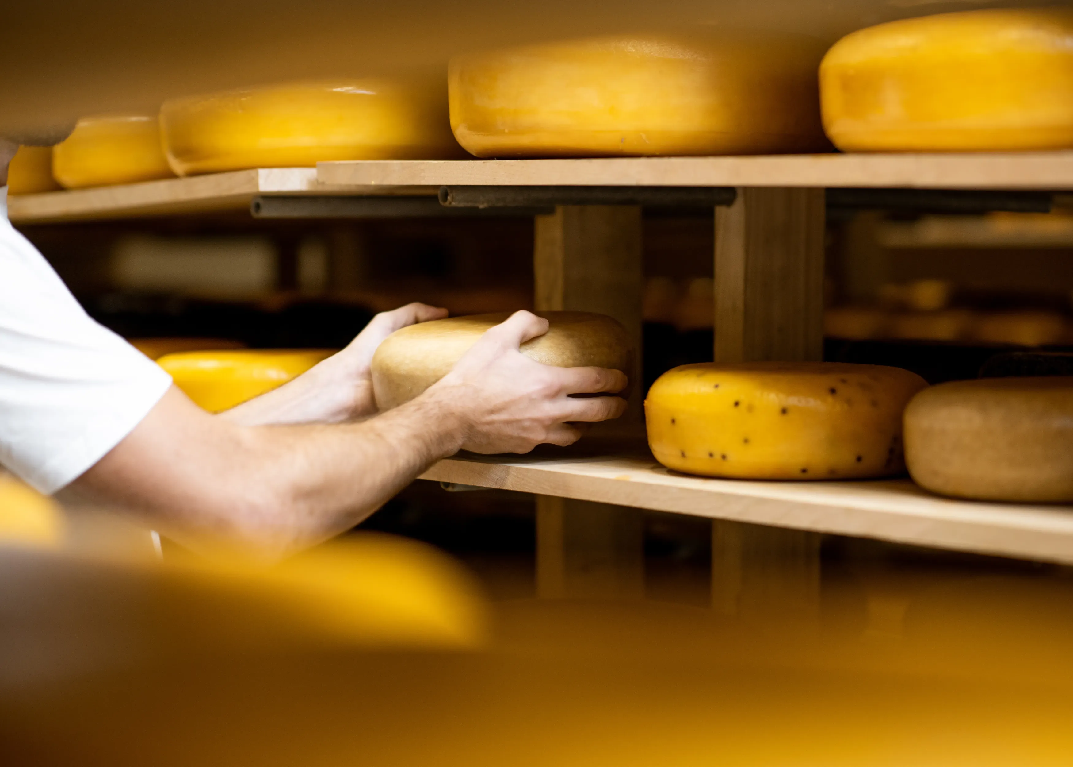 Klantcase: Verminder snijgevaar in de kaasindustrie