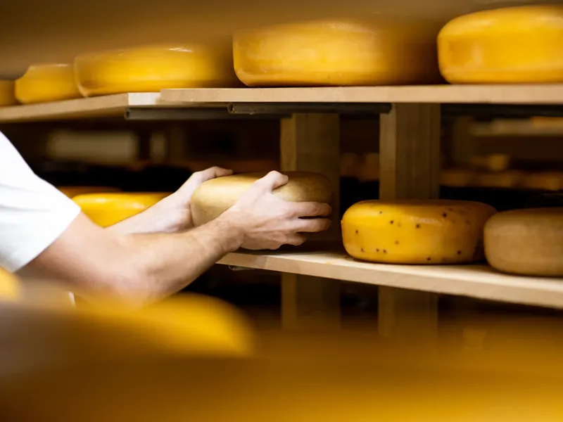 Klantcase: Verminder snijgevaar in de kaasindustrie