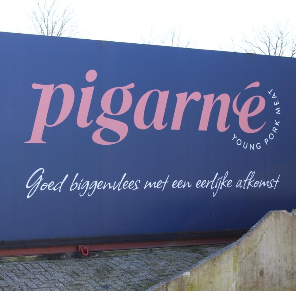 Klantcase: Pigarné met Brilliant Brains Bootcamp