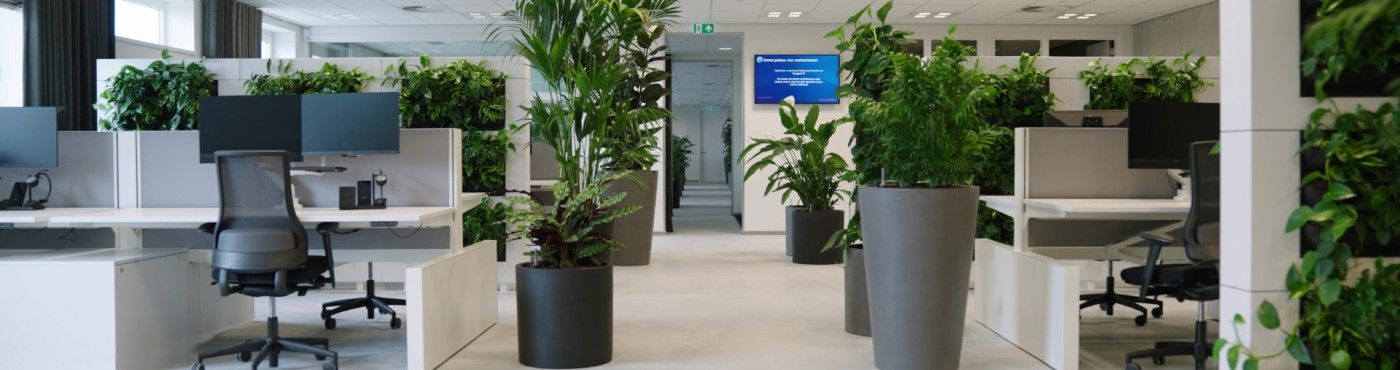 Brilliante vacatures