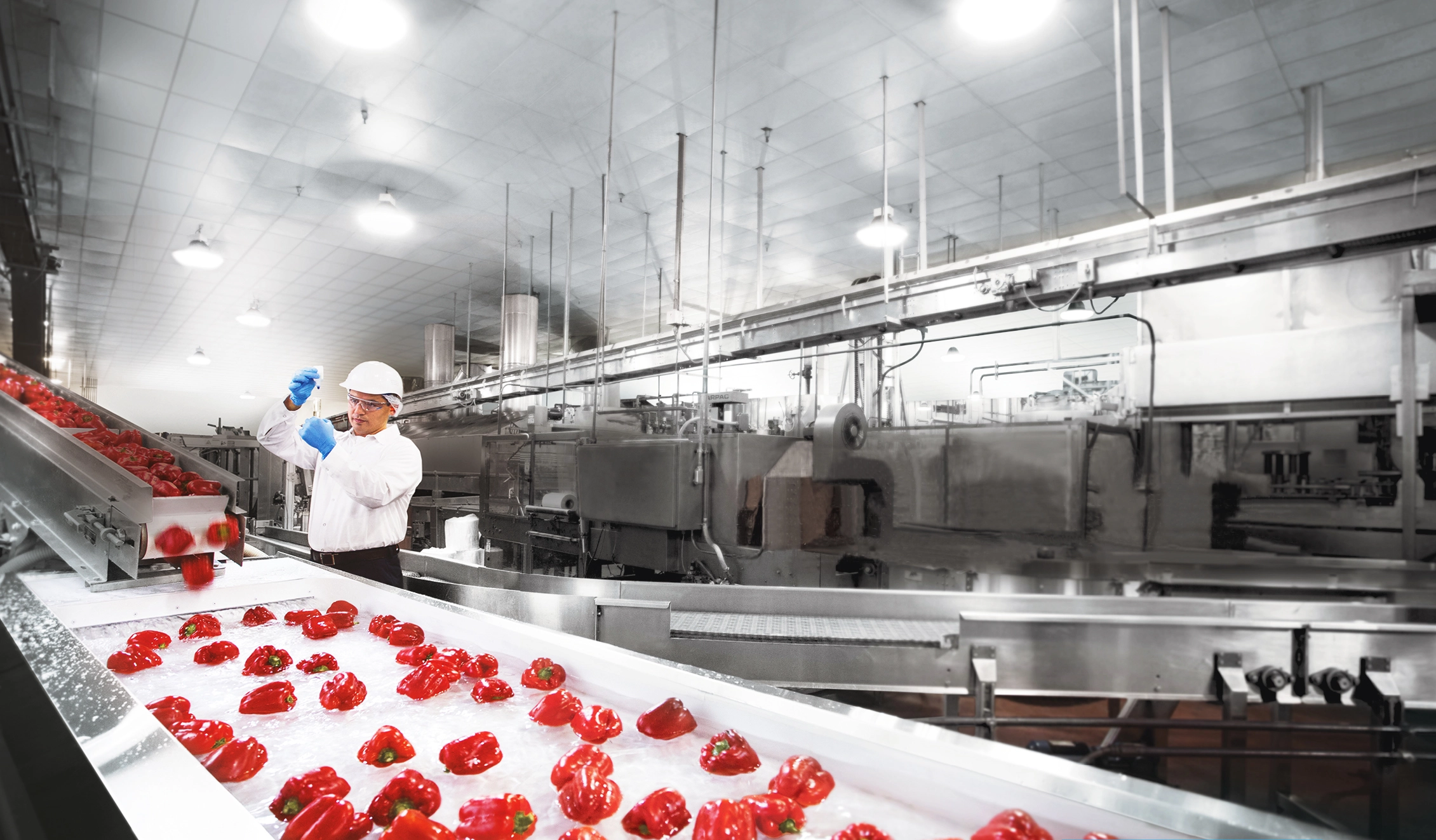 p3-ecolab-proces.webp