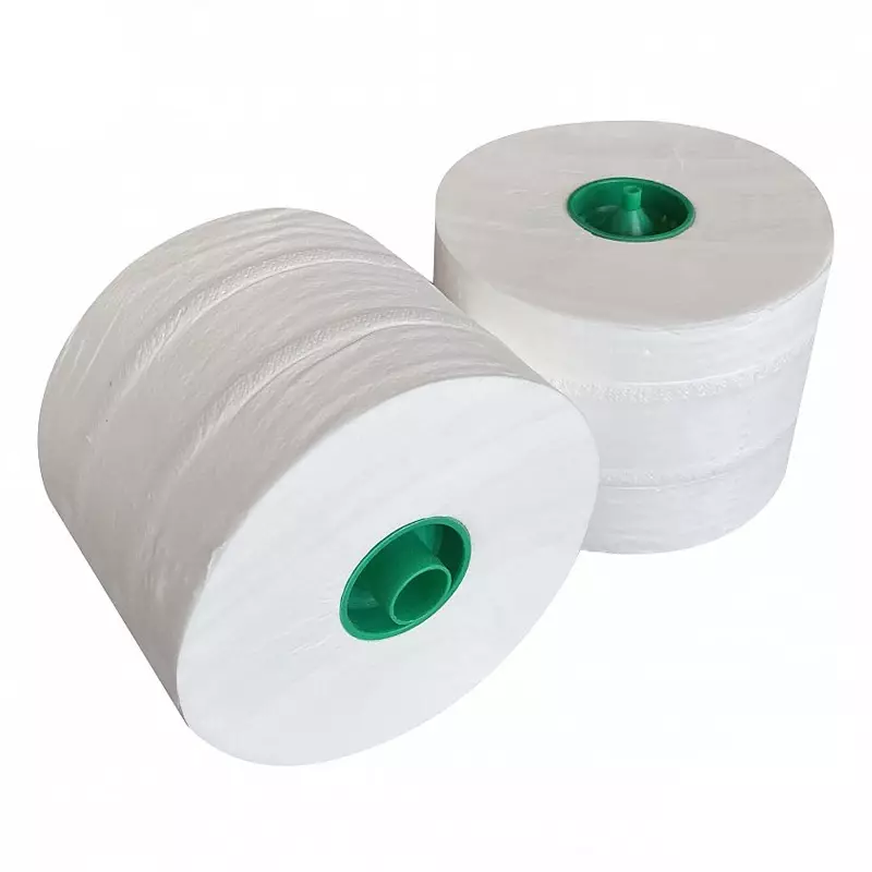 Euro Products toilet paper cap roll 2-ply cellulose 100 meters white