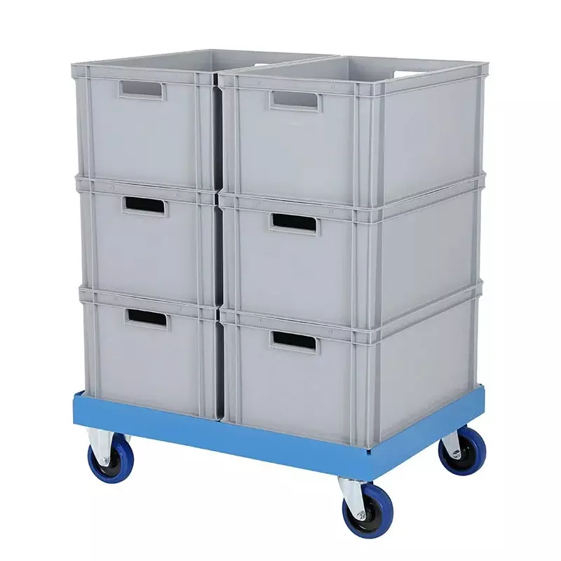 Plastic base galvanized forks 800x600 mm red