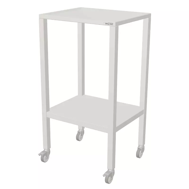 Pupitre en acier inoxydable sur roulettes pivotantes 599 x 495 x 1100 mm