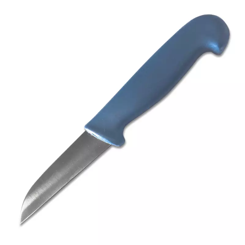 Couteau à légumes à lame droite détectable 9 cm bleu