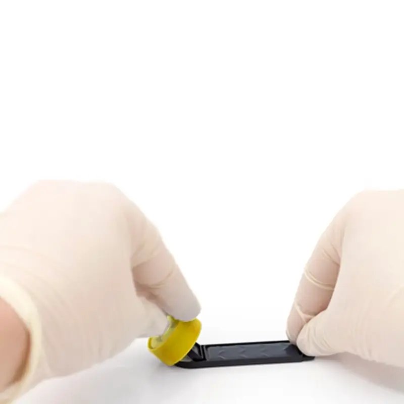Lames de test hygiéniques Y&F pour la détection des levures et des moisissures
