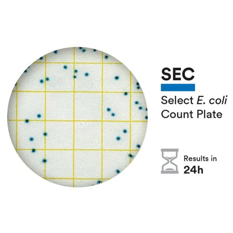 Plaque de comptage d'E. coli NEOGEN 6435 Petrifilm Select, 500 unités