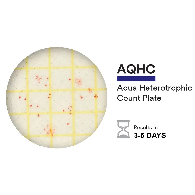 Plaque de comptage hétérotrophe NEOGEN 6450 Petrifilm Aqua, 100 pièces