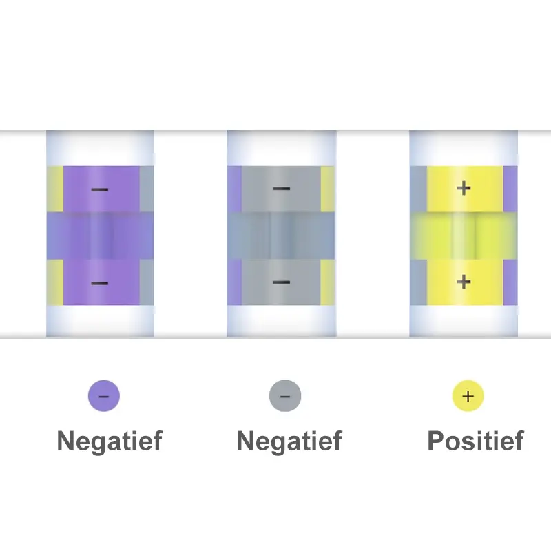 Salmonella omgeving test InSite