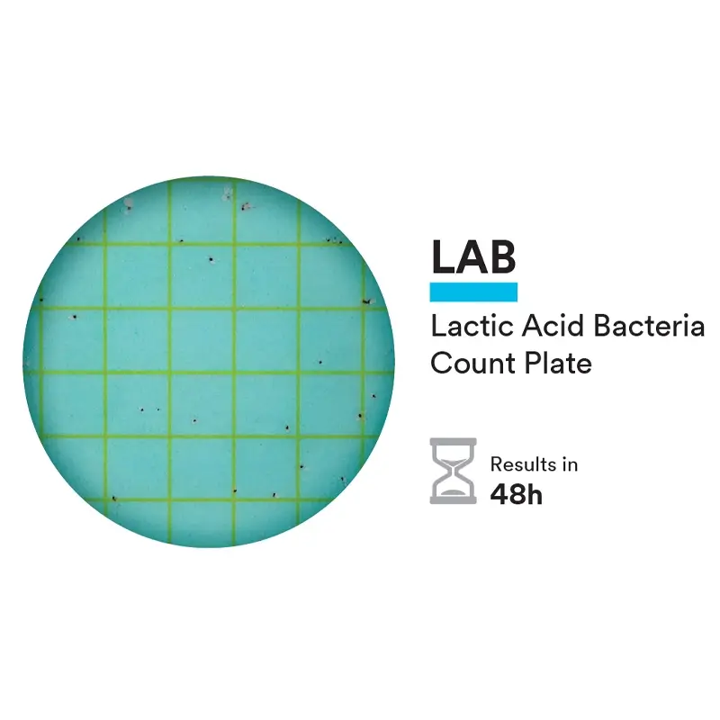 Plaque de comptage des bactéries lactiques NEOGEN 6462 Petrifilm, 500 unités