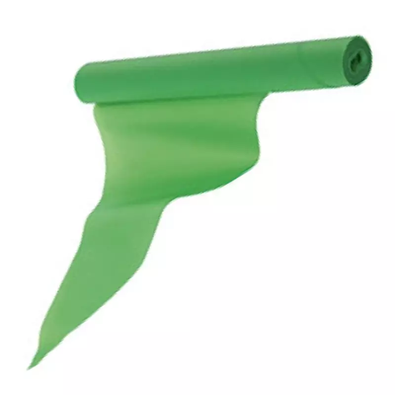 Poche à douille jetable en PE ø17 x 50 cm 80 µm 2 litres verte
