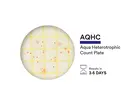 Plaque de comptage hétérotrophe NEOGEN 6450 Petrifilm Aqua, 100 pièces
