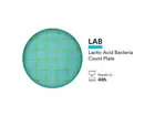 Plaque de comptage des bactéries lactiques NEOGEN 6462 Petrifilm, 500 unités