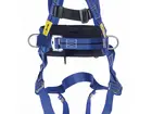Miller Titan 2-point harness with positioning belt