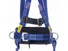 Miller Titan 2-point harness with positioning belt