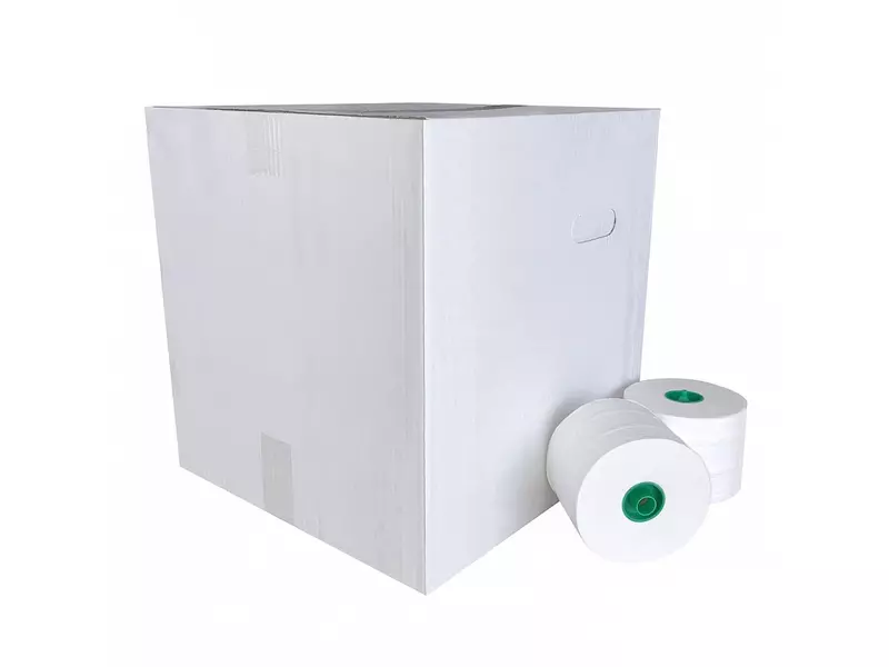 Euro Products toilet paper cap roll 2-ply cellulose 100 meters white