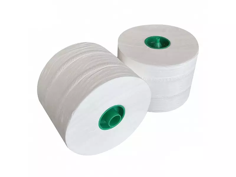 Euro Products toilet paper cap roll 2-ply cellulose 100 meters white