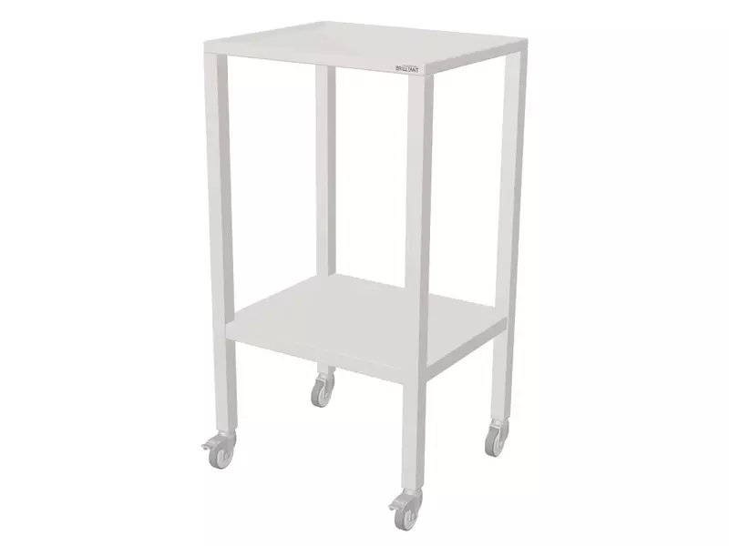 Pupitre en acier inoxydable sur roulettes pivotantes 599 x 495 x 1100 mm