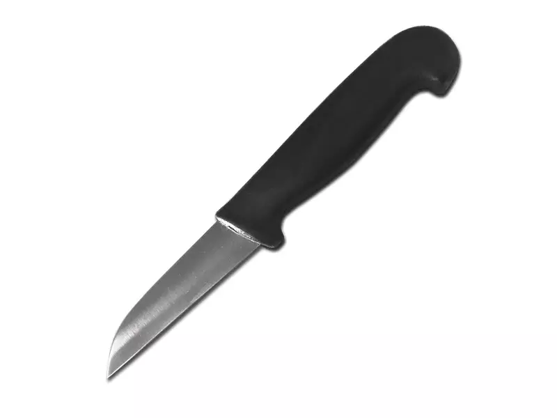 Vegetable knife detectable straight blade 9 cm black