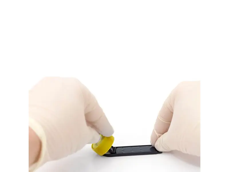 Lames de test hygiéniques Y&F pour la détection des levures et des moisissures