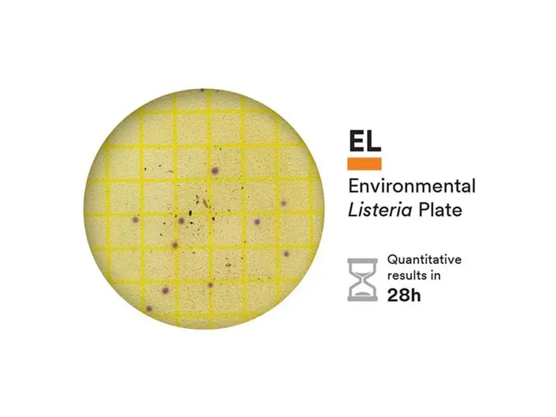NEOGEN 6448 Petrifilm Environmental Listeria telplaat 200 stuks