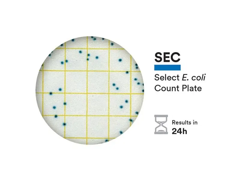 Plaque de comptage d'E. coli NEOGEN 6435 Petrifilm Select, 500 unités