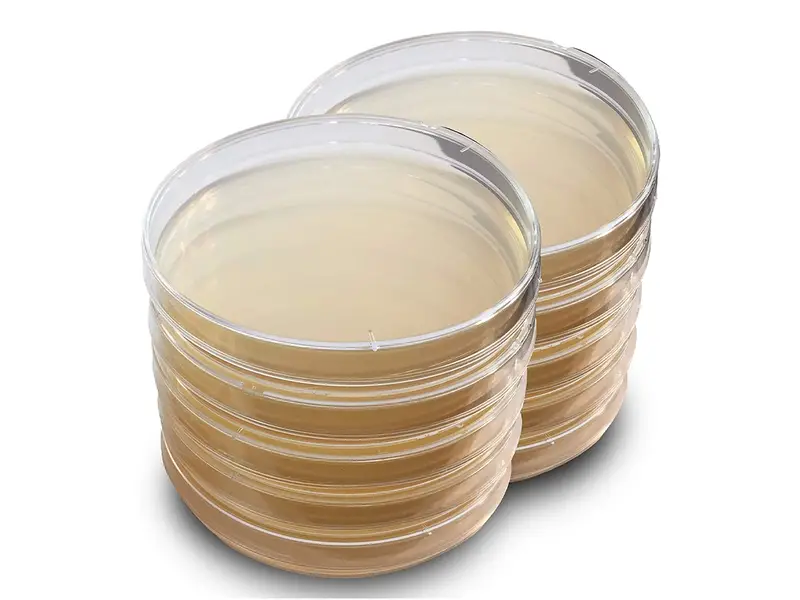 Contact plate YGC 5,5 cm 17 ml