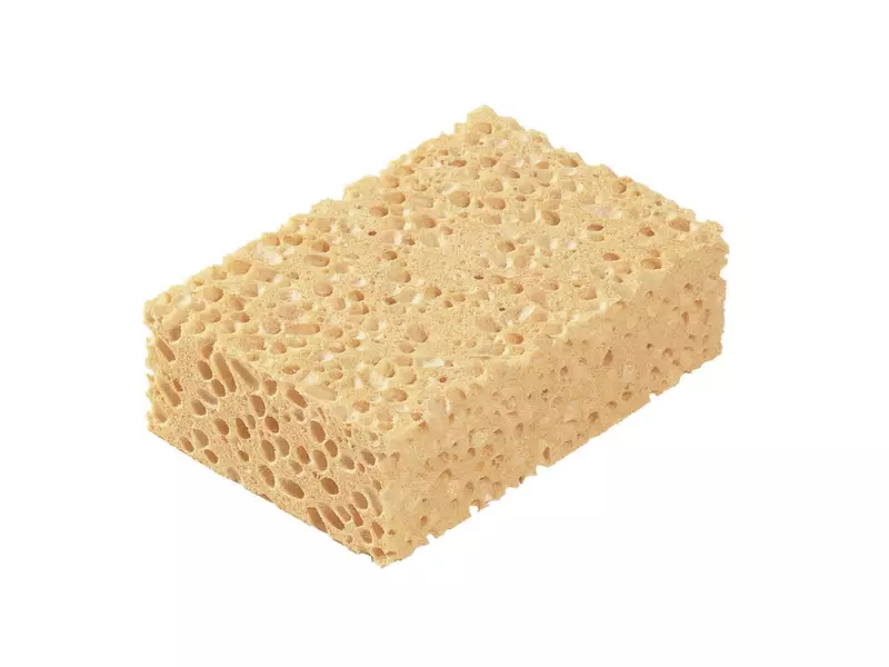 Spontex Azella sponge 120x80x35 mm