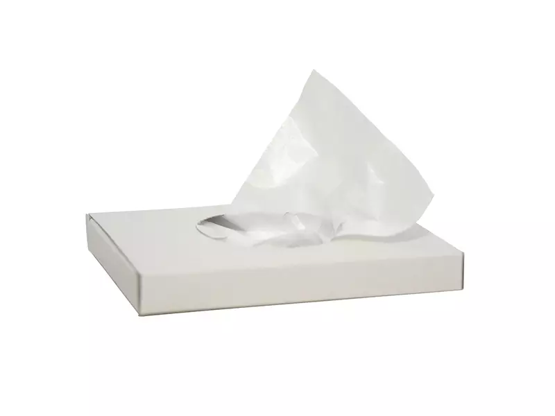 Pochettes pour serviettes hygiéniques en plastique Euro Products