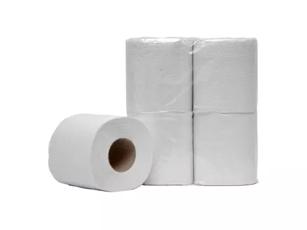 Papier toilette recyclé Euro Products, 2 plis, 200 feuilles, blanc