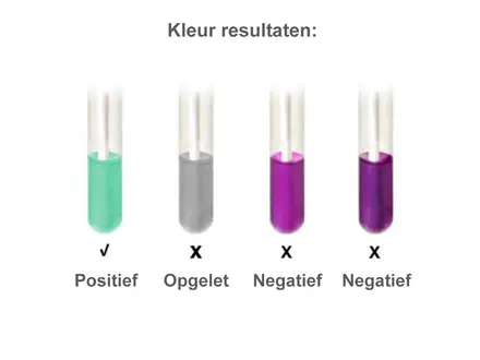 Hygiena Pro-Clean PRO100 proteïne test