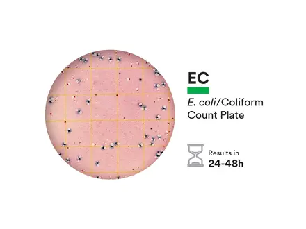 NEOGEN 6414 Petrifilm E.coli & Coliform count plate 500 pieces