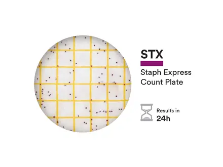 NEOGEN 6490 Petrifilm Staph Express telplaat 50 stuks