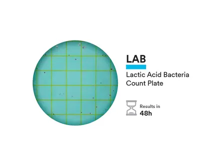 Plaque de comptage des bactéries lactiques NEOGEN 6462 Petrifilm, 500 unités