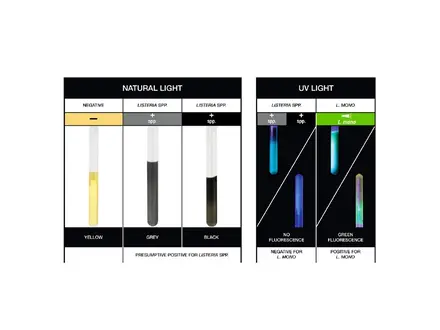 Hygiena InSite L.mono Glo listeria omgeving test