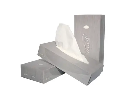 Mouchoirs en papier Euro Products, 2 couches de cellulose, 21 x 21 cm, blancs