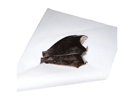 Papier substitut alimentaire 42 x 31 cm blanc