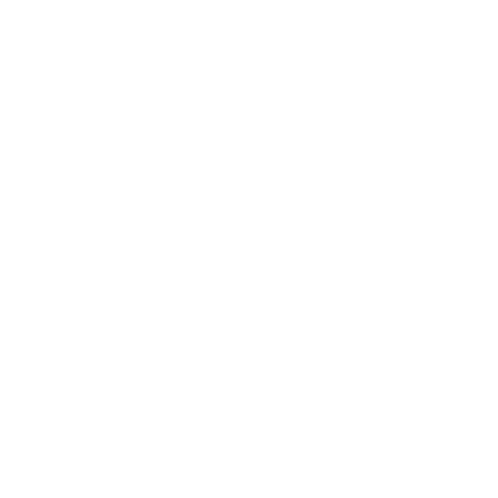 Logo Brilliant Brains wit vierkant